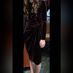 ANTONIO MELANI Velvet Long Sleeve Dress in Rich Burgundy XS